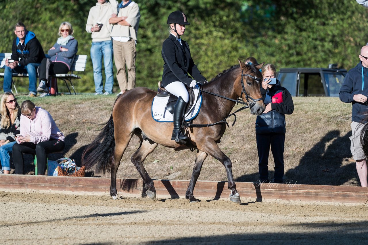 Bild 31 - Pony Akademie Turnier